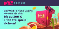 Ein aufregendes Casino-Erlebnis: Wild Fortune Casino!