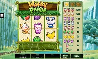 wacky panda slot vorschau