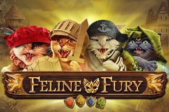 Feline fury