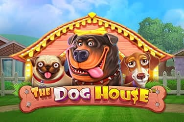 The dog house