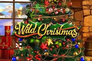 Wild christmas